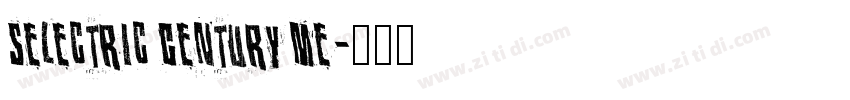 Selectric Century Me字体转换